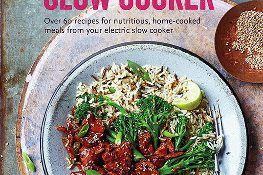 Healthy Slow Cooker: Over 60 recipes for nutritious, home-cooked meals from your electric slow cooker